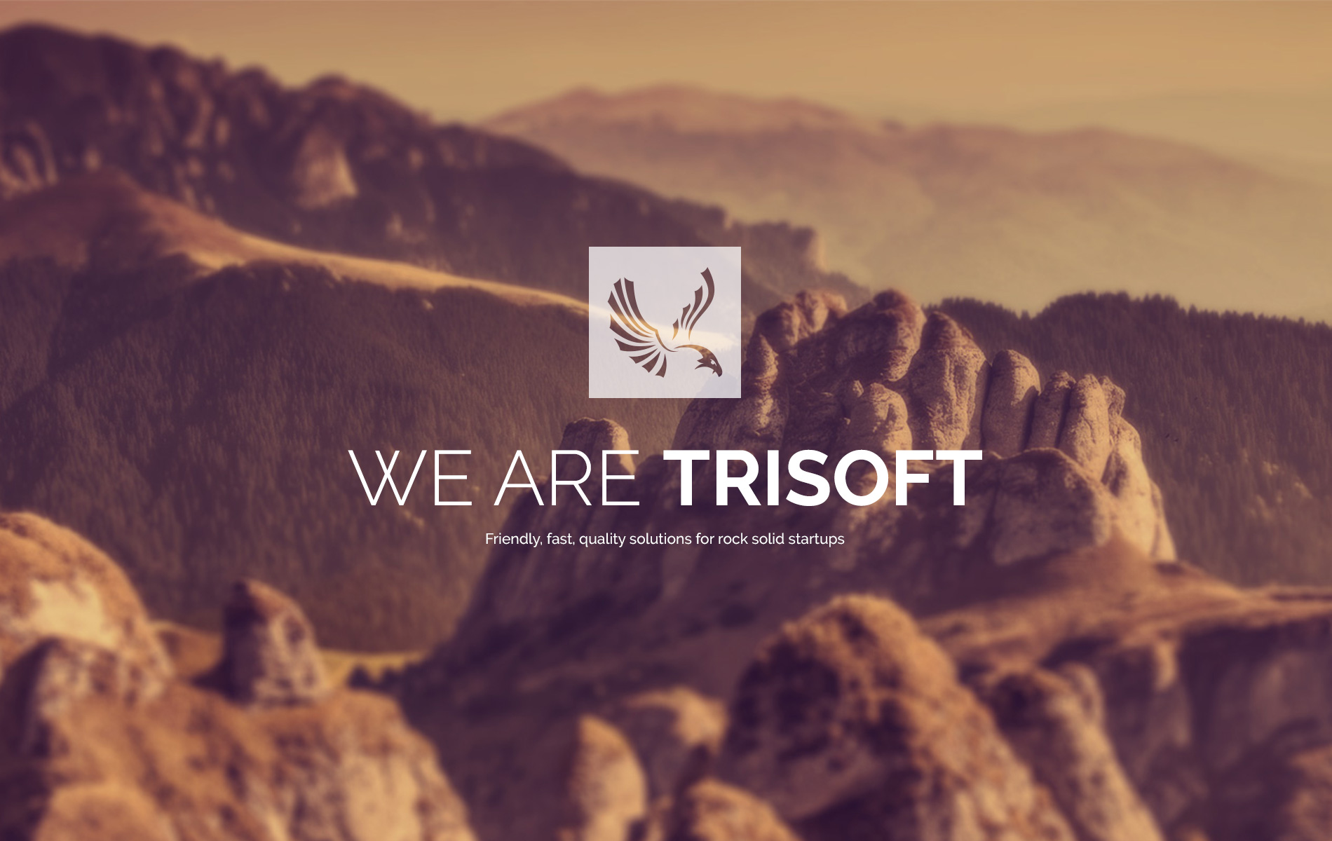 Trisoft logo