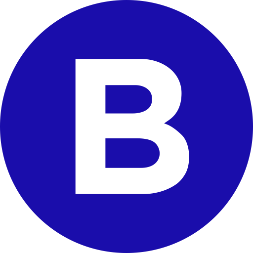 Bigseo logo