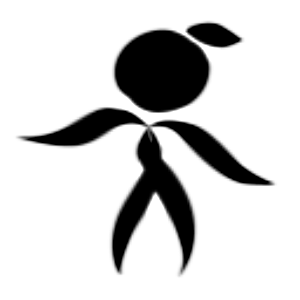 Nicasio Design &amp; Development logo