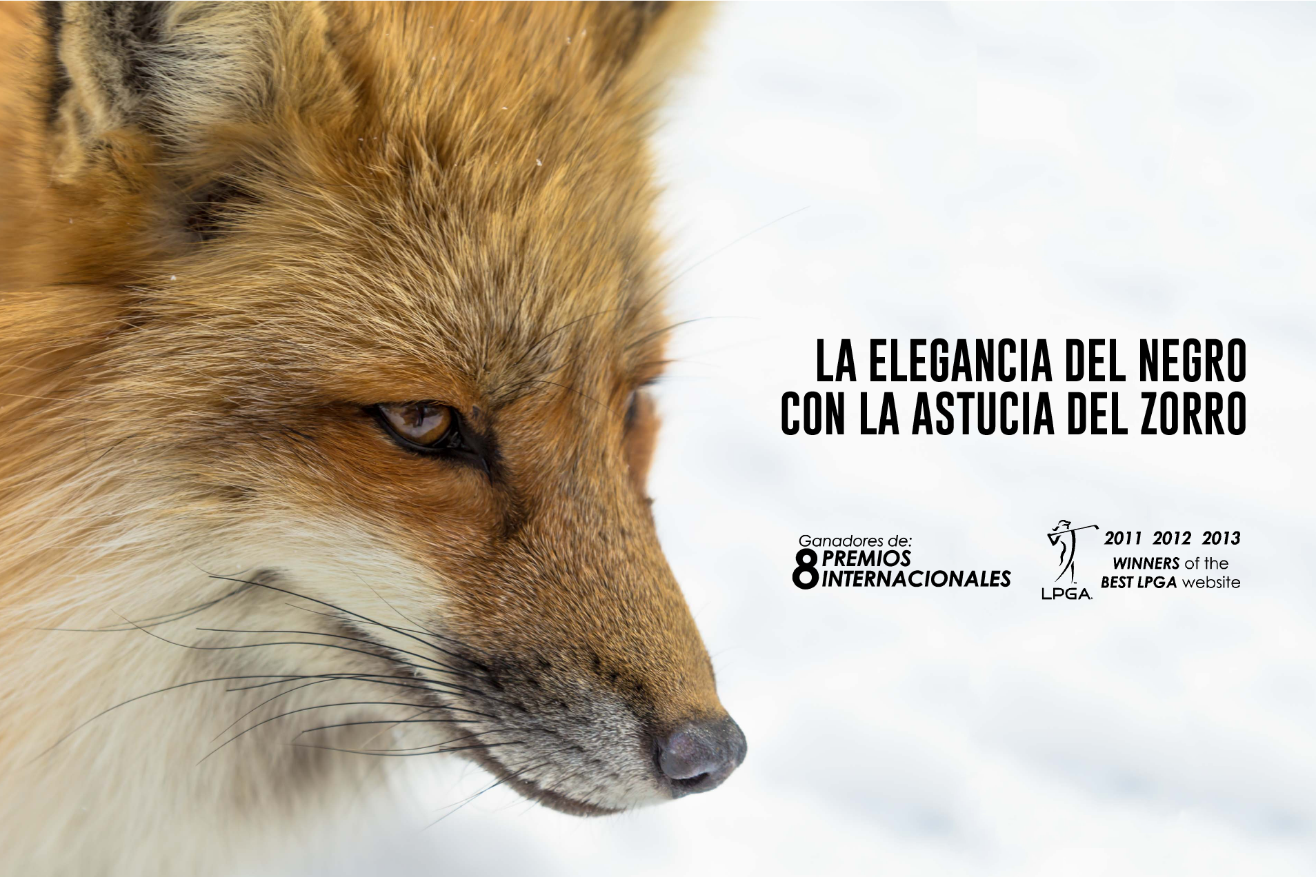 BLACKFOX Marketing logo