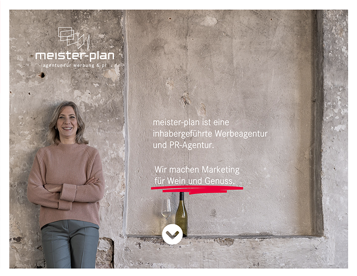 Meister-Plan logo