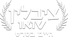 Zivlin logo