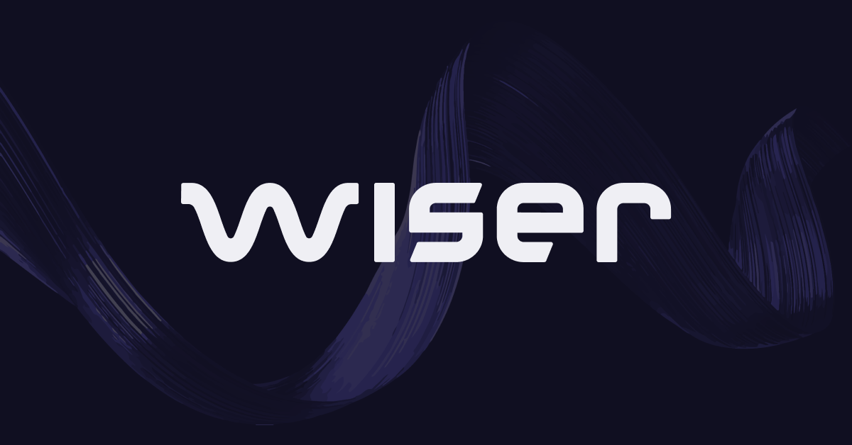 Wiser Technology logo