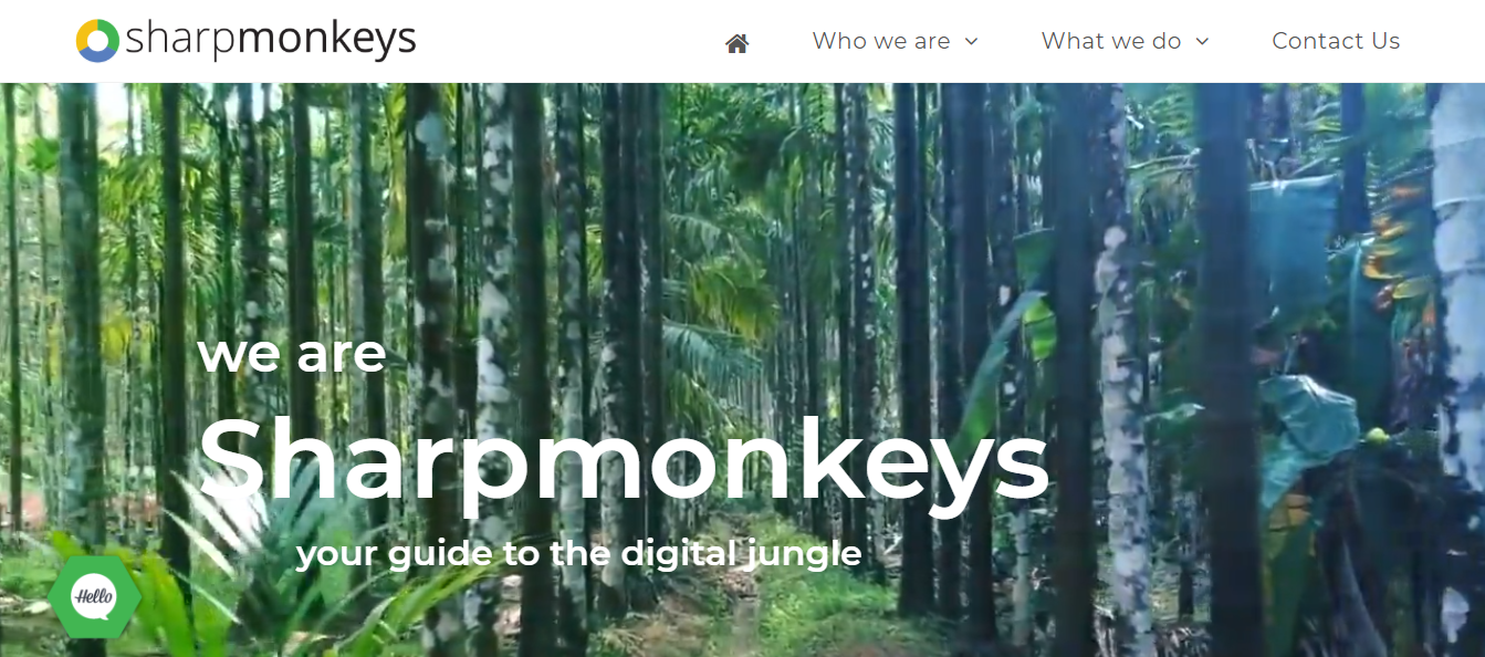Sharpmonkeys logo