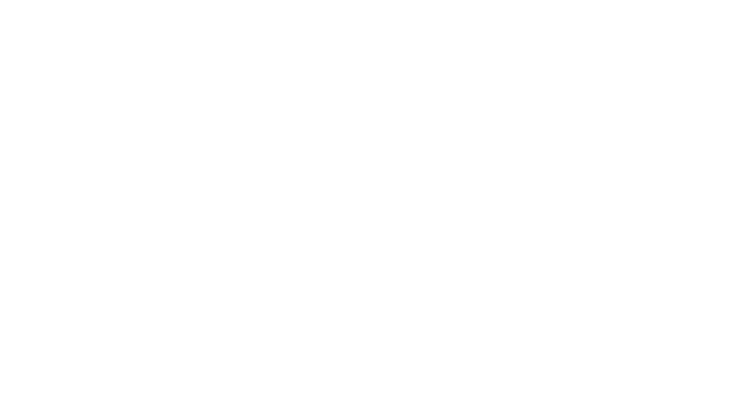 Concerto Marketing Group logo