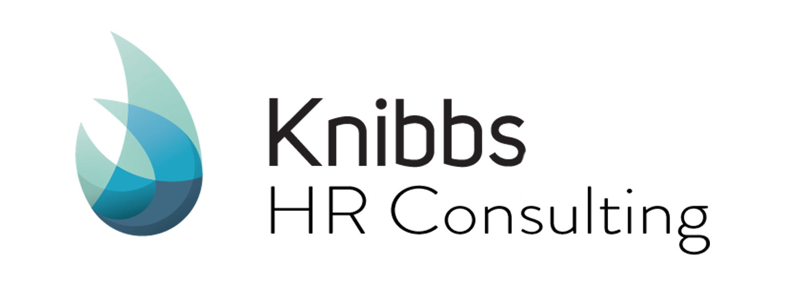 Kn/a HR Consulting logo
