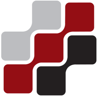 Disaster Services Network logo