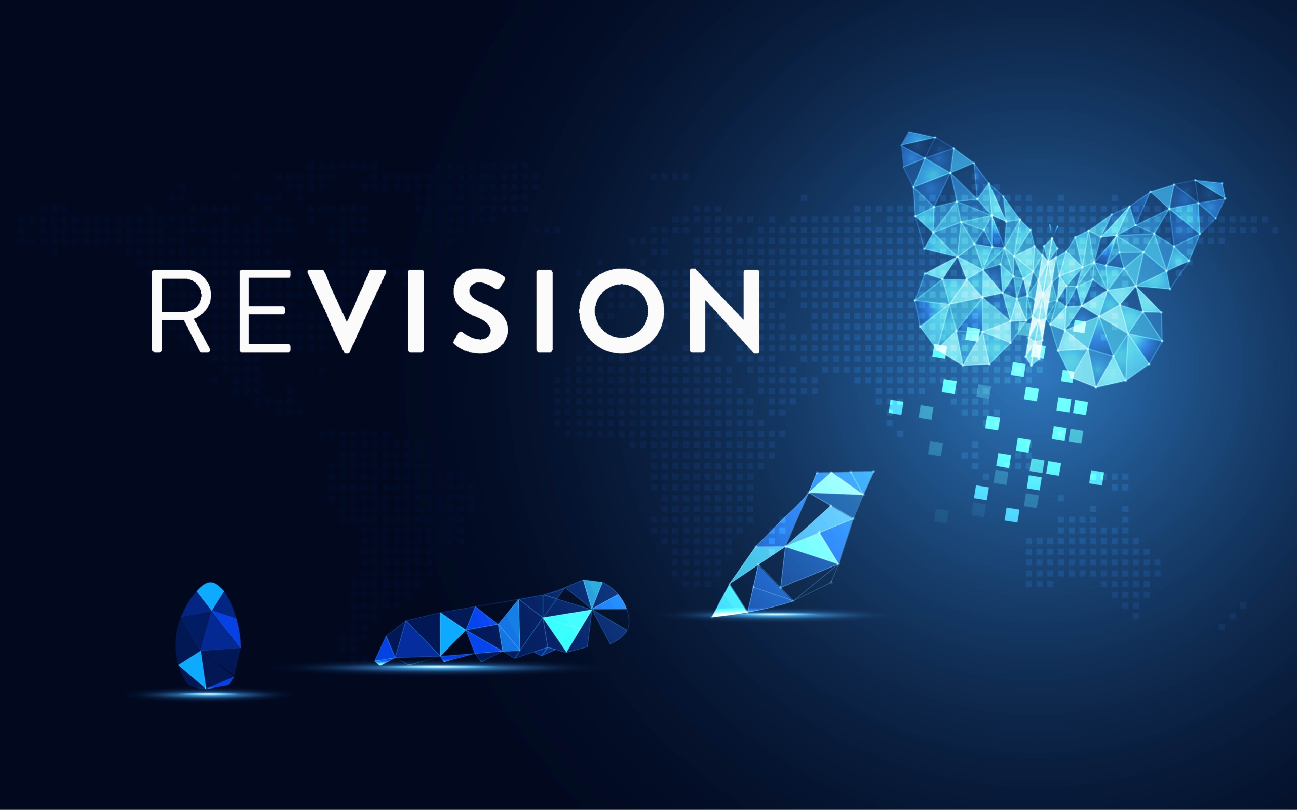REVISION Inc logo