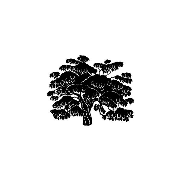 Clean Forest Web Solutions Inc. logo
