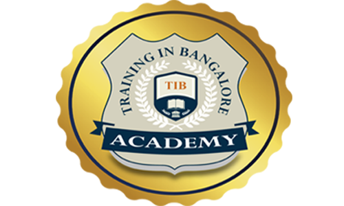 TIB Academy logo