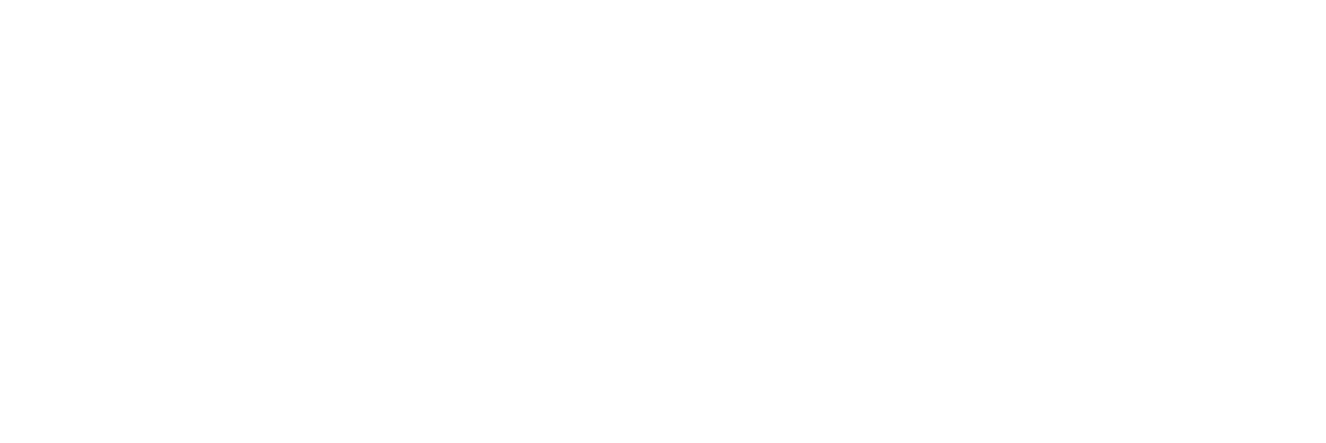 Iomer Internet Solutions logo