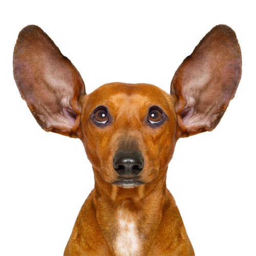 Loud Digital logo