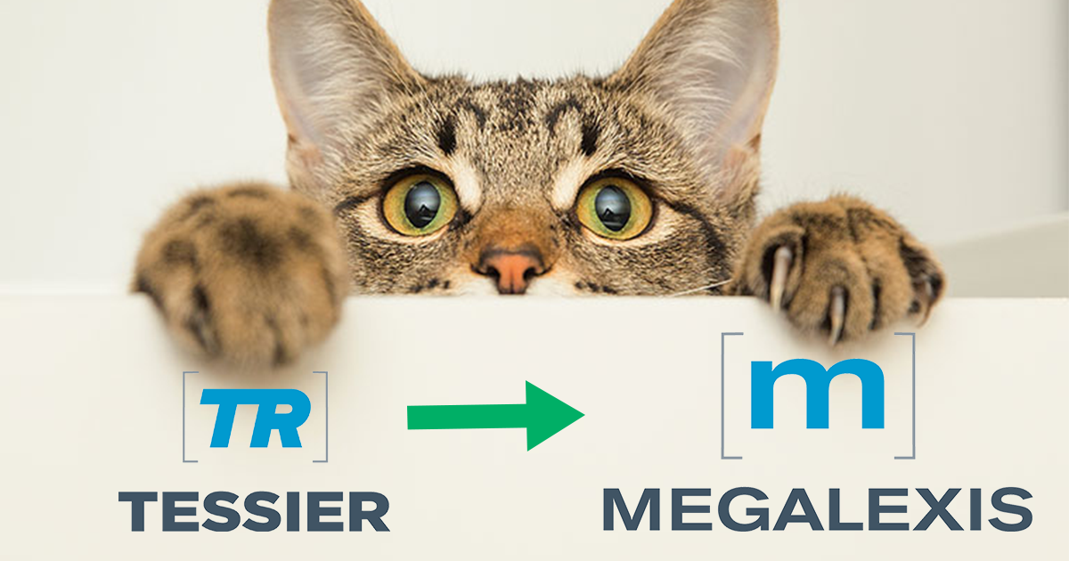 Tessier Translations logo