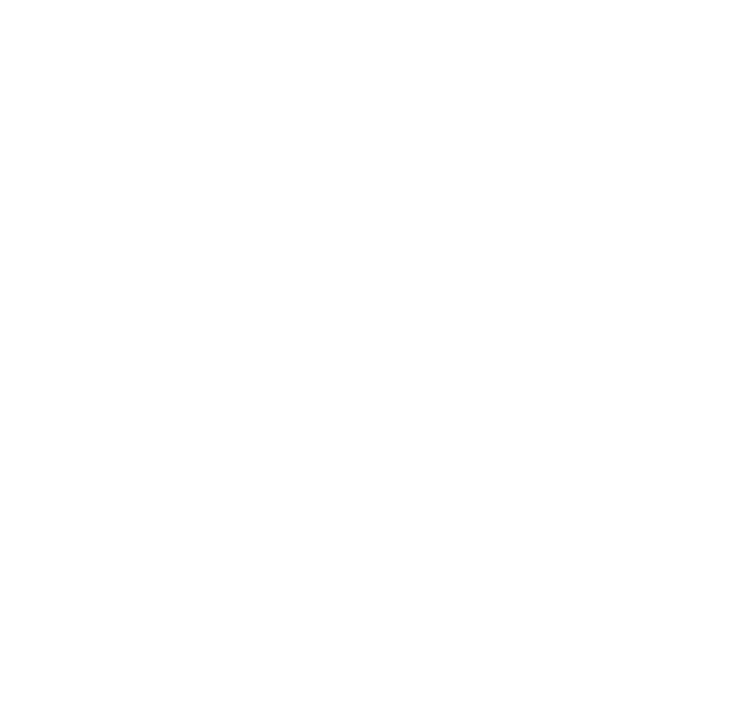 Pushr Video logo