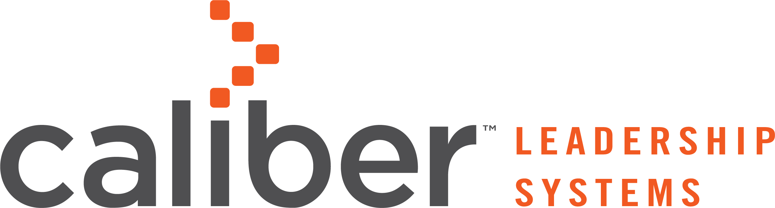 Caliber Leadership Systems logo