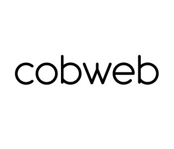 Cobweb Solutions Ltd logo