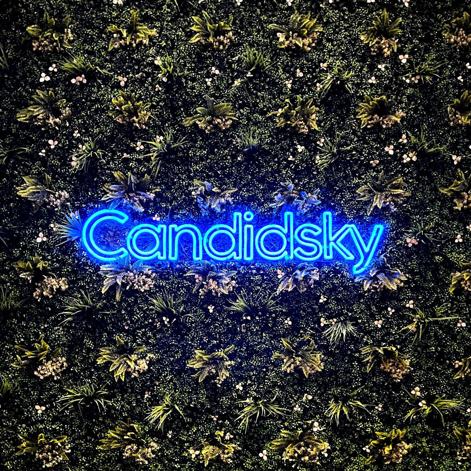Candidsky logo