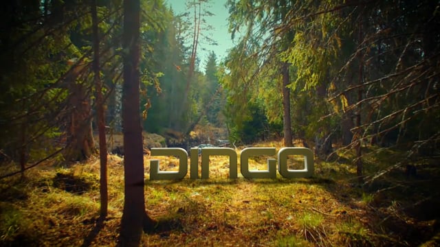 Dingo Media logo