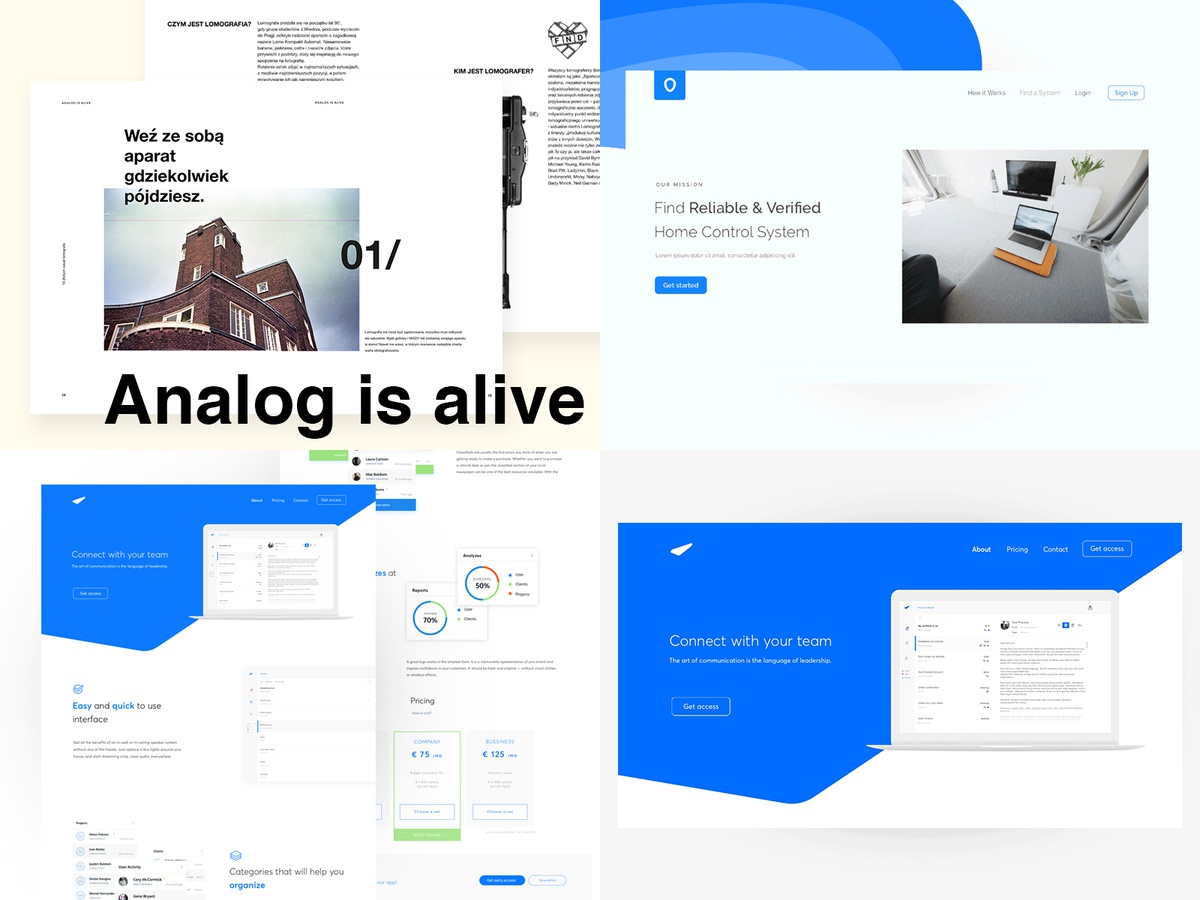 Paweł Pniewski UI/UX WEB DESIGN logo