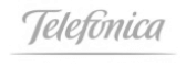 Netscan Group logo