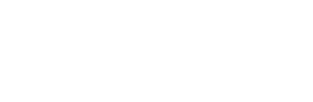 Capitol Interactive logo