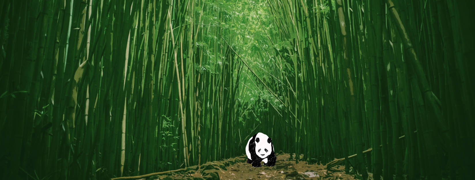 Transcription Panda logo