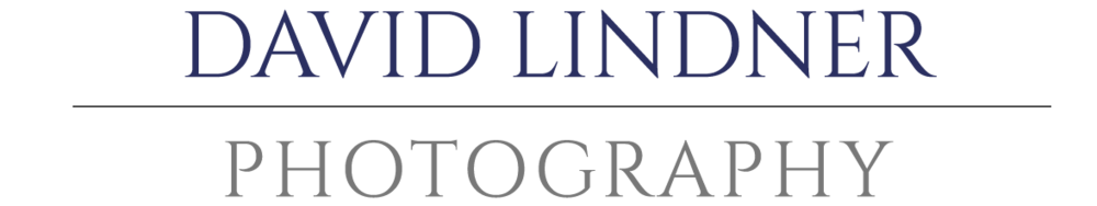 The Lindner Studio logo