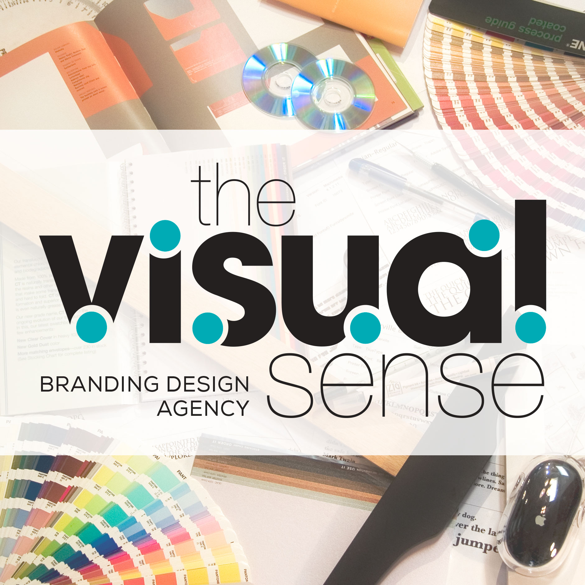 THE VISUAL SENSE logo