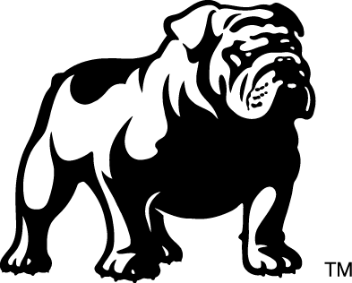 United Dsn logo