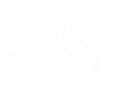Leonine Info Solutions logo