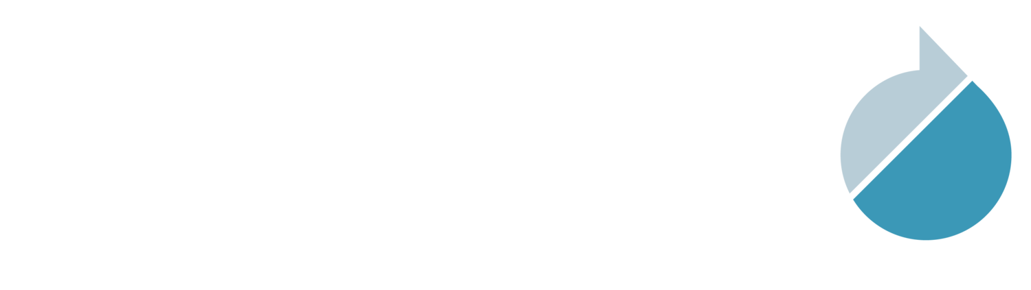 The Sawtooth Group logo