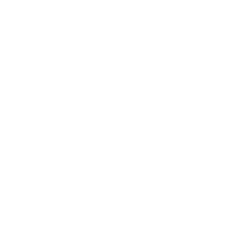 TSD Group logo