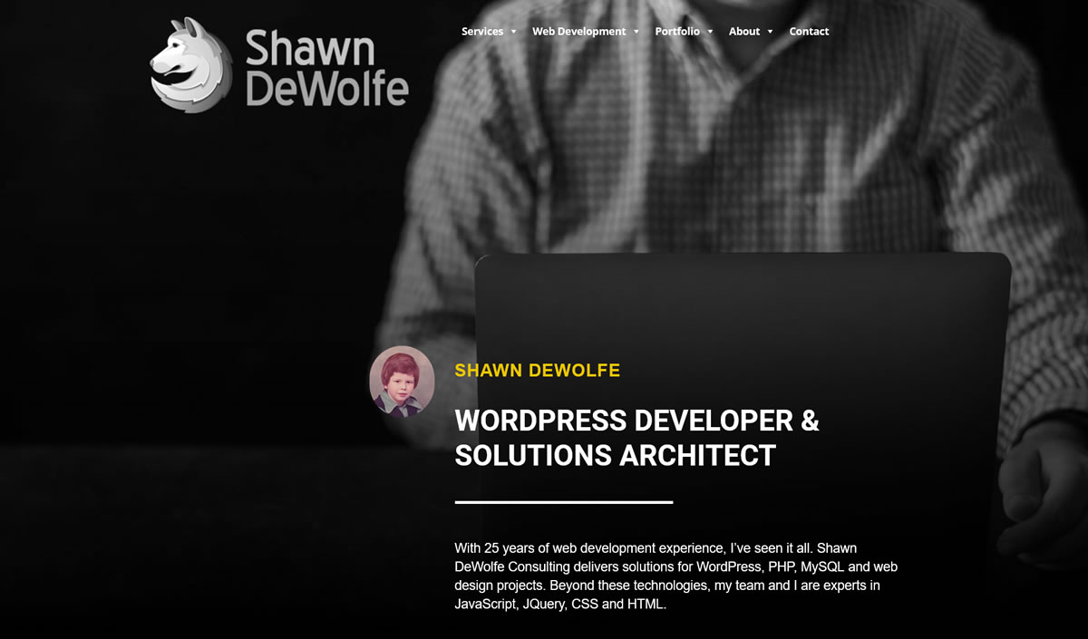 Shawn DeWolfe Consulting logo