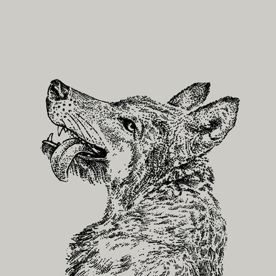 Smiling Wolf logo