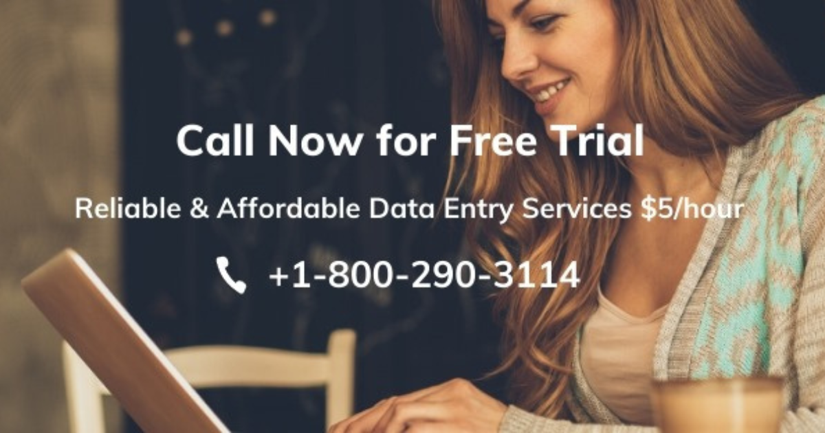 Perfect Data Entry logo
