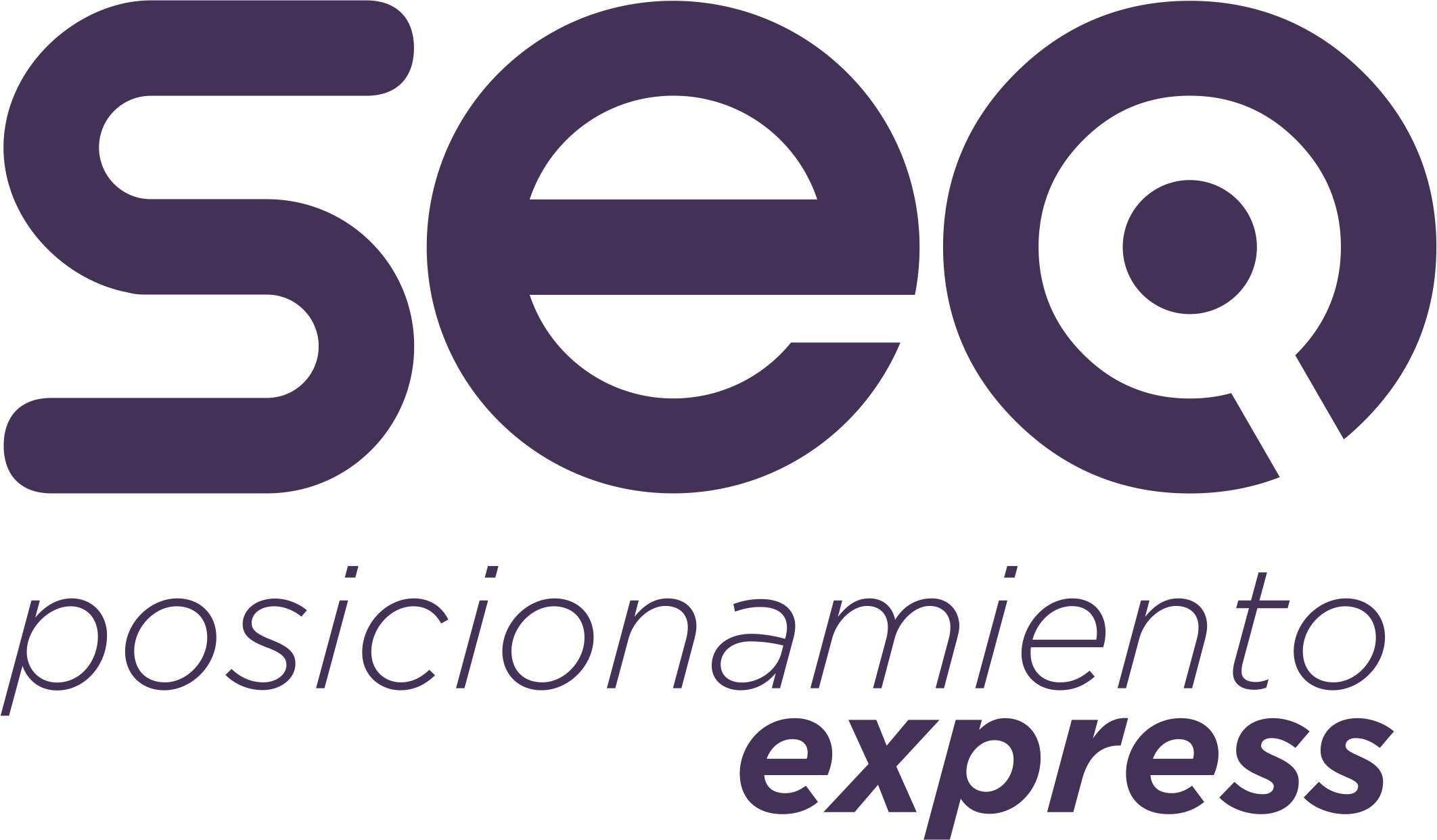 Seo Express Argentina logo