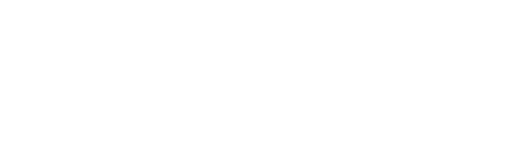Dynamo Web Solutions logo