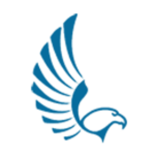 Falcon Digital Marketing logo