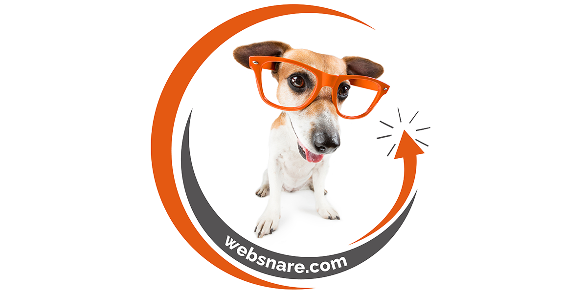 Websnare logo