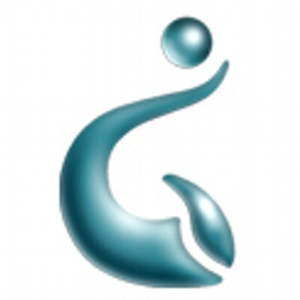 Gradire Web Design logo