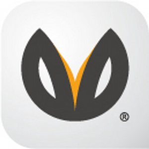Belong Studio logo