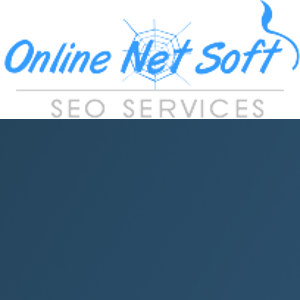Online Net Soft logo