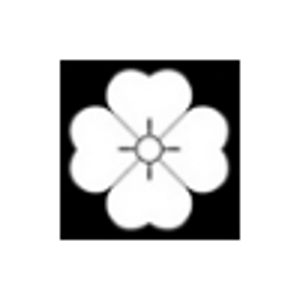 Sacramento Internet Consultant logo