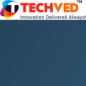 TECHVED Consulting India Pvt.Ltd logo