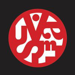 Visual Asylum logo