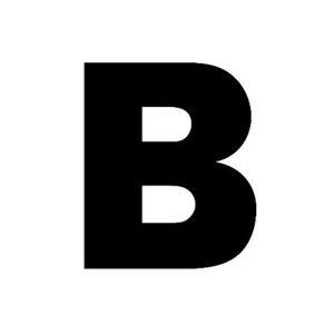 Bloodybigspider logo