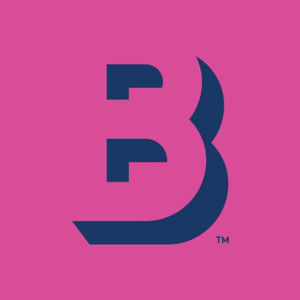 Big Group logo