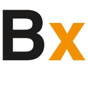 Branditix logo