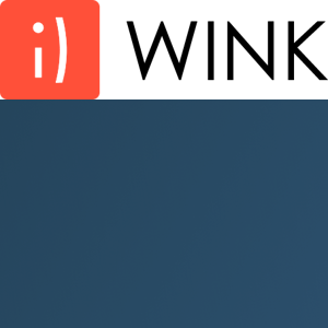 WiNK Srl logo