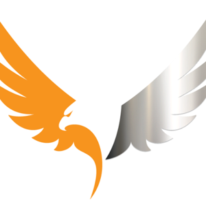 Software Major logo